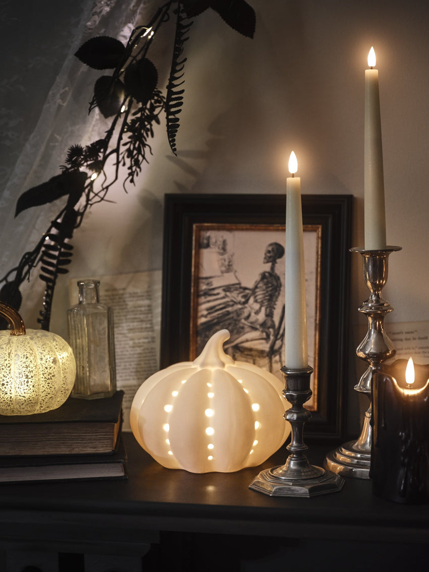 Citrouilles Décoratives & Lumineuses