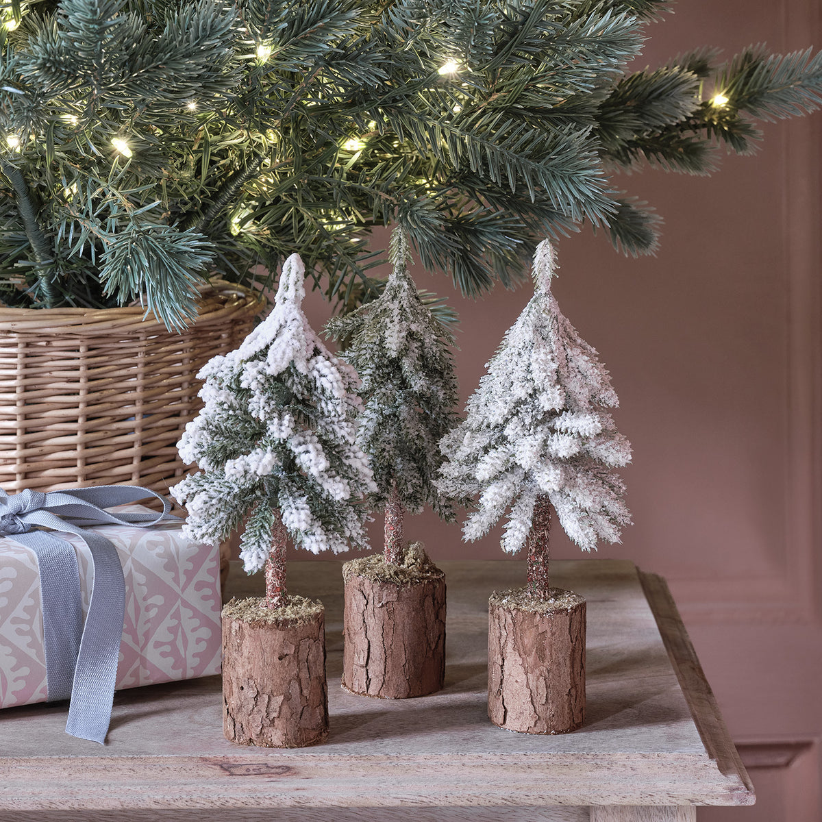 Lot De 3 Sapins De Noël Magiques En Papier à Faire Pousser - DIY Pour Enfants