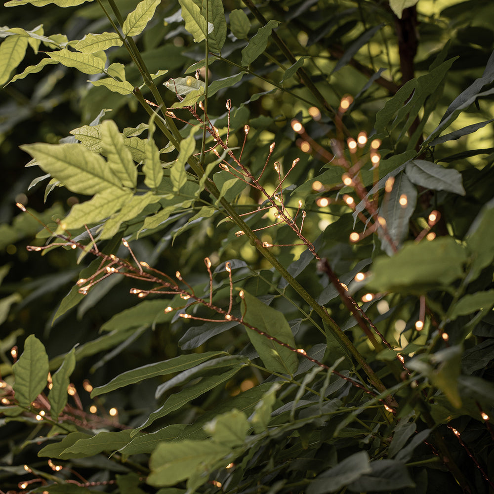 Herbes Décoratives en Cuivre à LED
