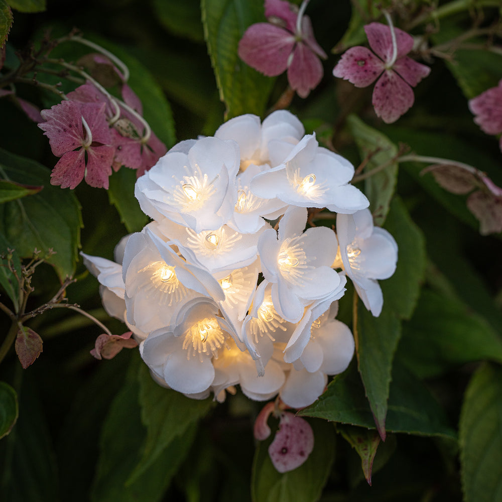 Guirlande Lumineuse Solaire à Fleurs Blanches, Rechargeable par USB