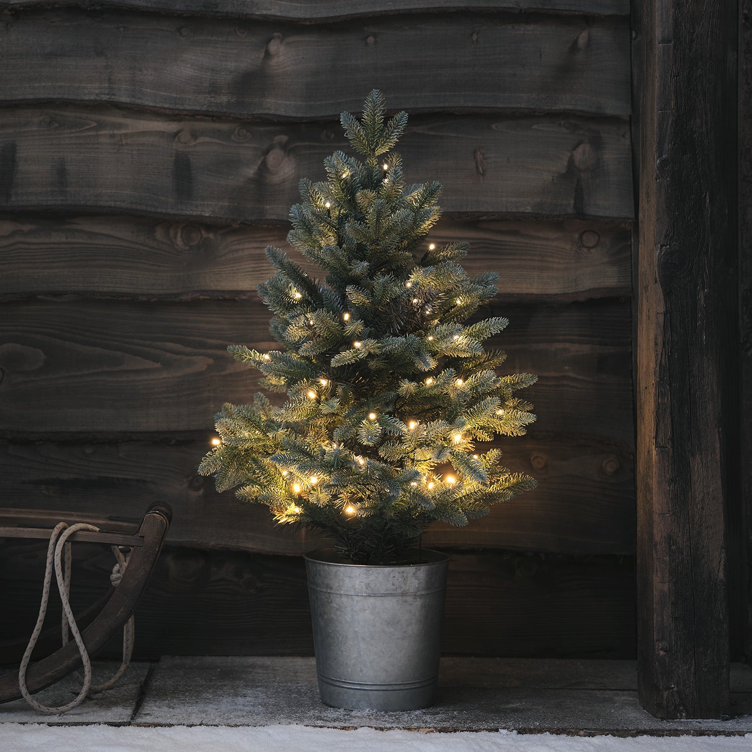 Petit Sapin En Pot Extérieur