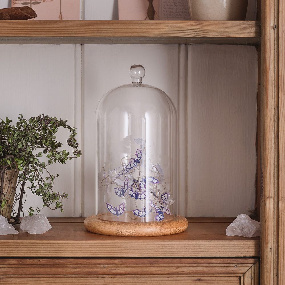 Lot de Cloche en Verre & Guirlande Micro LED Chauves-souris