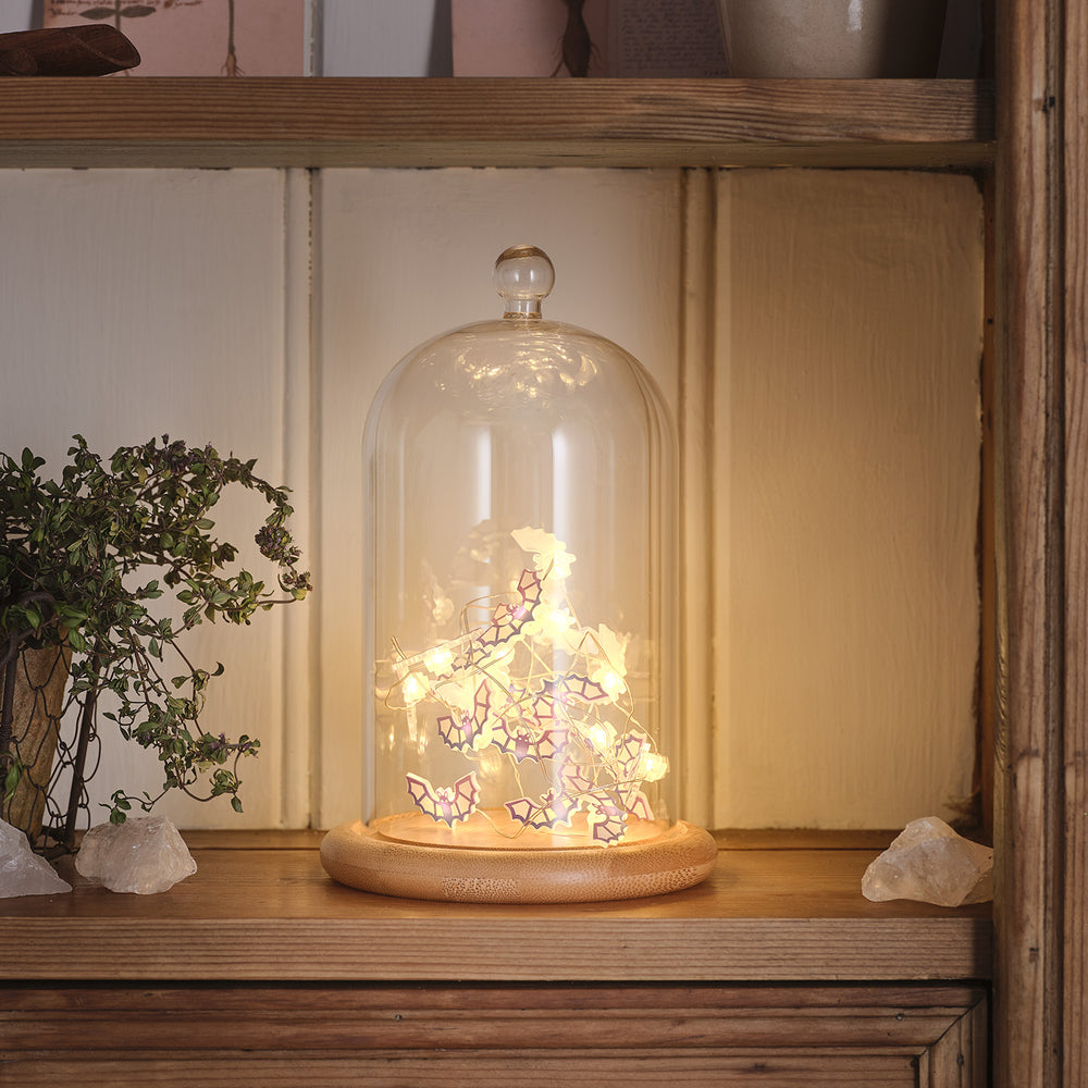 Lot de Cloche en Verre & Guirlande Micro LED Chauves-souris