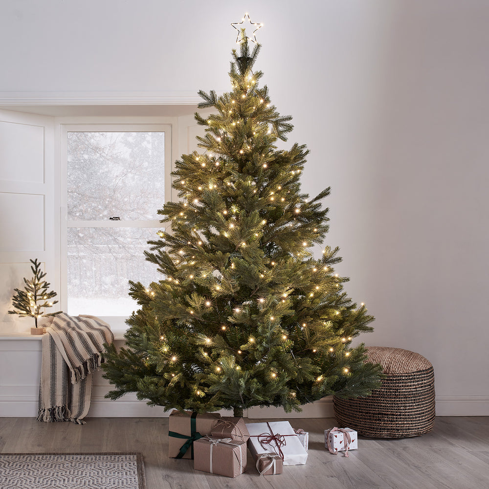 Cimier de Sapin Étoile lumineuse Osby avec Rideau