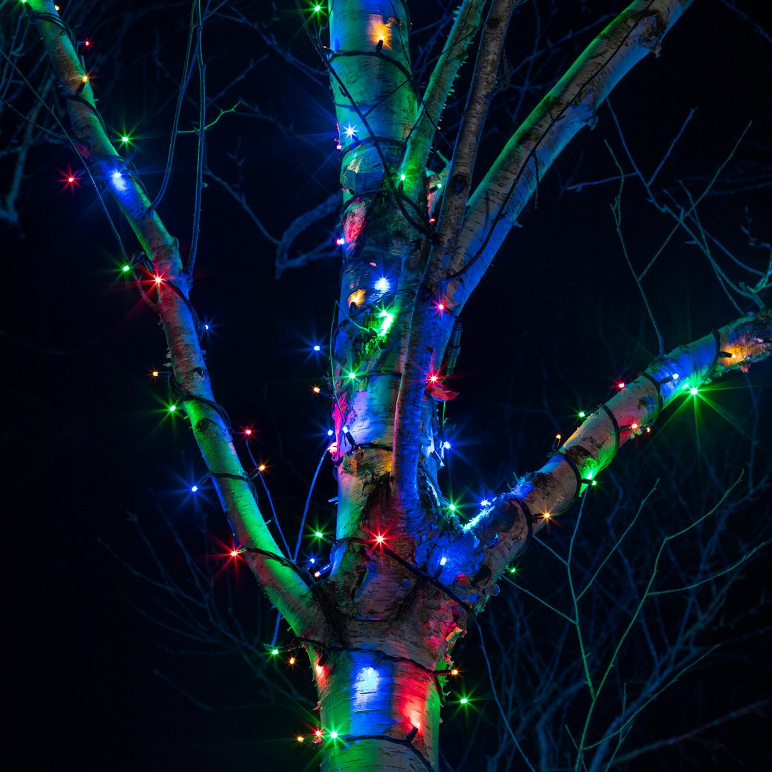 Guirlande lumineuse extérieur 18m 750 LED multicolore et 8 jeux de lumière  - RETIF