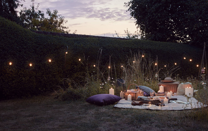 DÎner en Plein Air : Un Pique-nique à la Belle Étoile