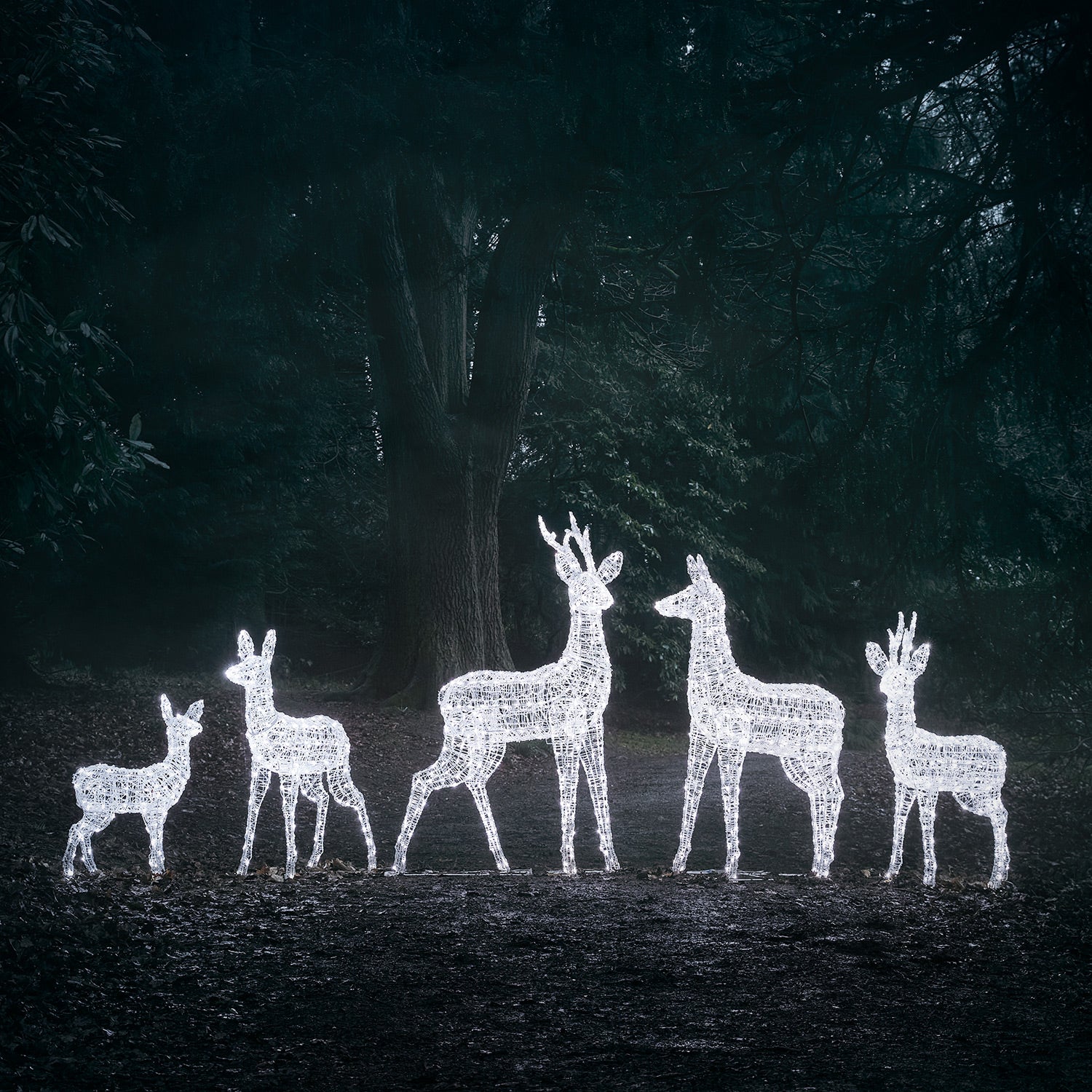 Rennes Lumineux Lights4fun.fr