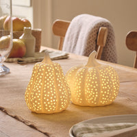 Citrouilles décoratives & lumineuses