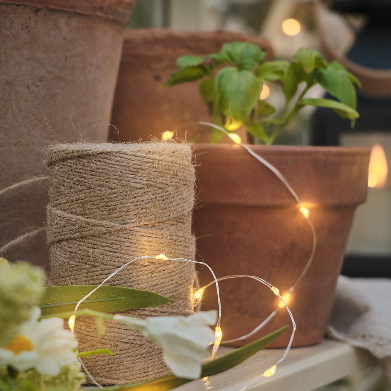 Guirlande Lumineuse Argentée 50 Micro LED Blanc Chaud