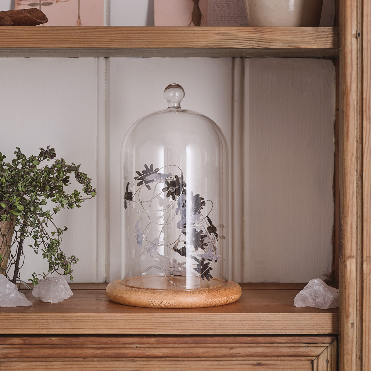 Lot de Cloche en Verre & Guirlande Micro LED Fantômes et Araignées