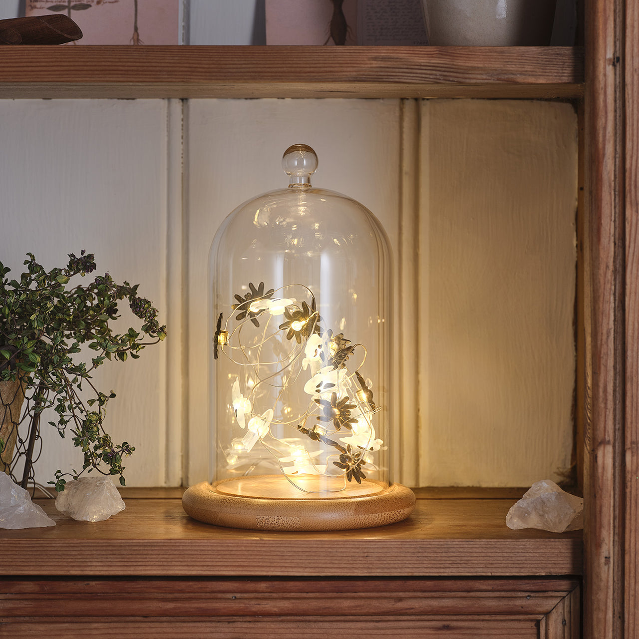 Lot de Cloche en Verre & Guirlande Micro LED Fantômes et Araignées