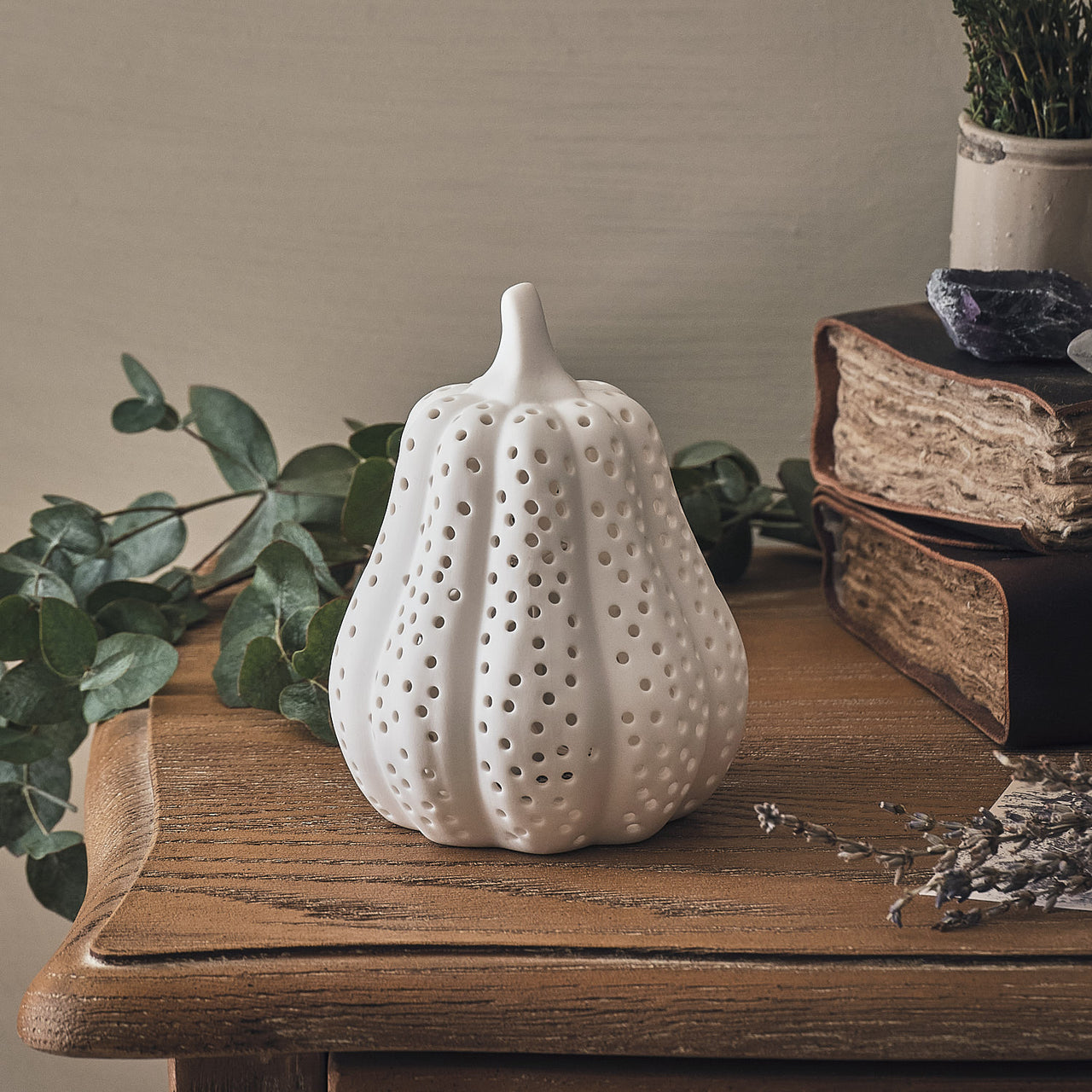 Lot de Citrouille & Courge Lumineuses en Porcelaine Blanche Mate