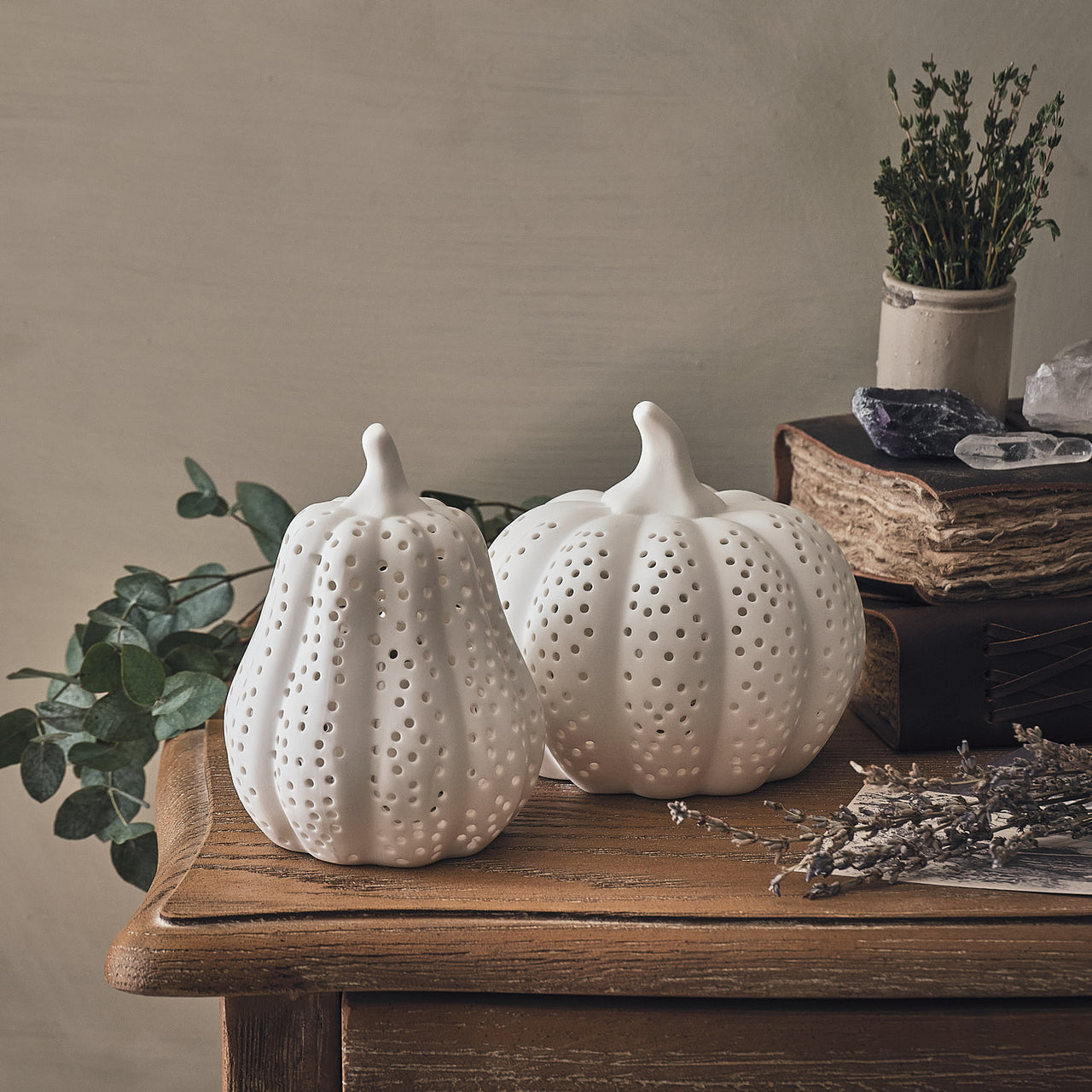 Lot de Citrouille & Courge Lumineuses en Porcelaine Blanche Mate