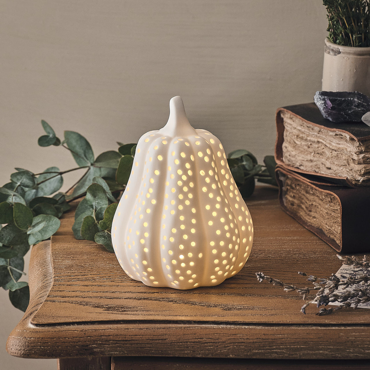 Lot de Citrouille & Courge Lumineuses en Porcelaine Blanche Mate
