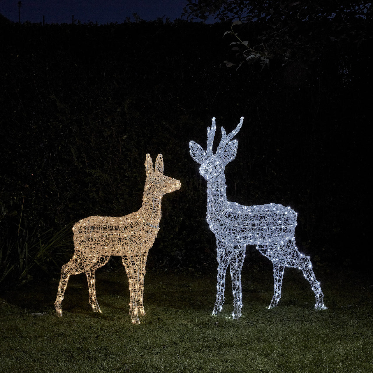 Duo de Rennes Lumineux à Piles Swinsty, Cerf et Biche à LED Bicolore