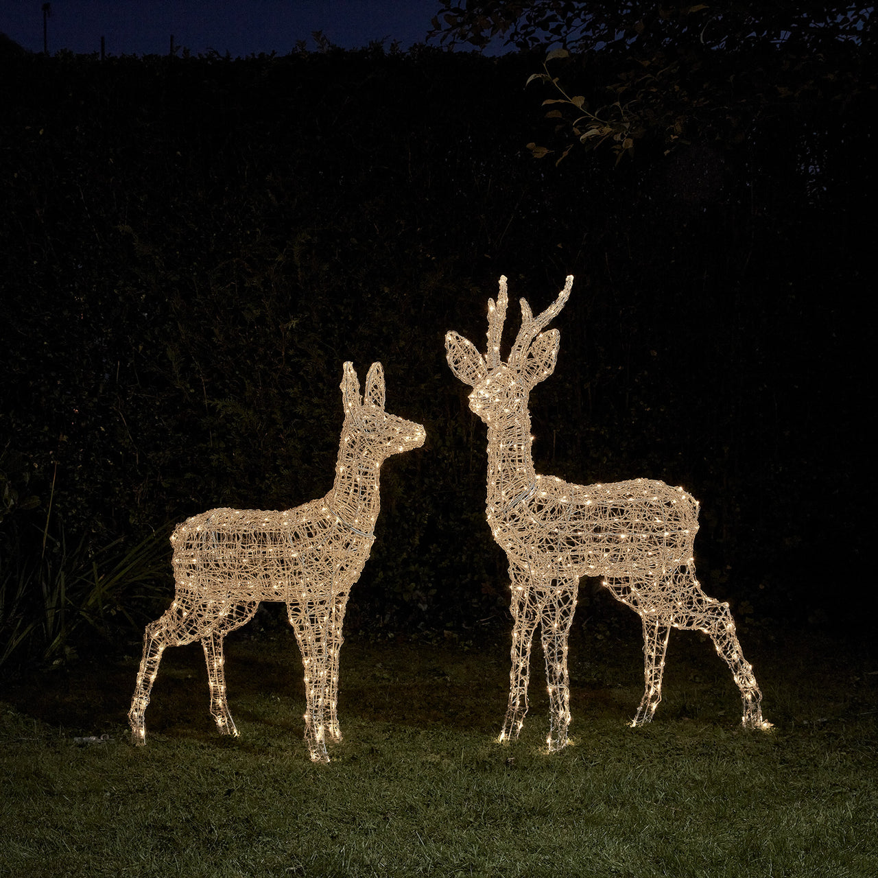 Duo de Rennes Lumineux à Piles Swinsty, Cerf et Biche à LED Bicolore