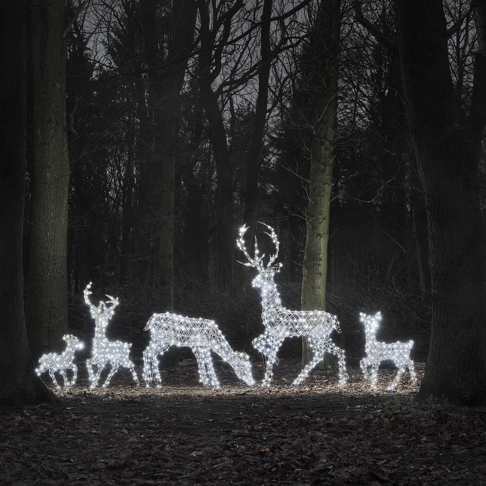 Grande Famille de Rennes Lumineux en Rotin Studley à LED Bicolore