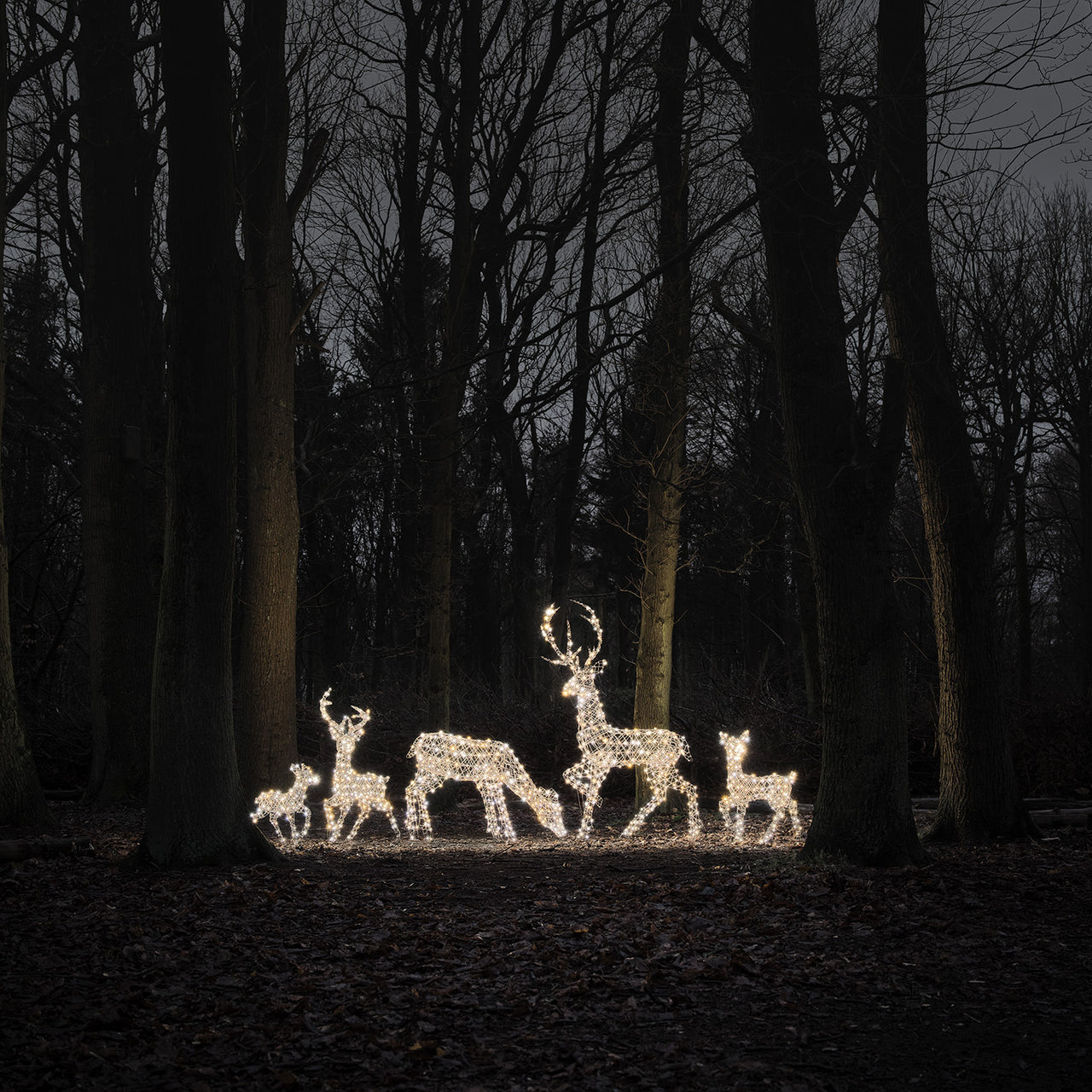 Famille de Rennes Lumineux en Rotin Studley à LED Bicolore