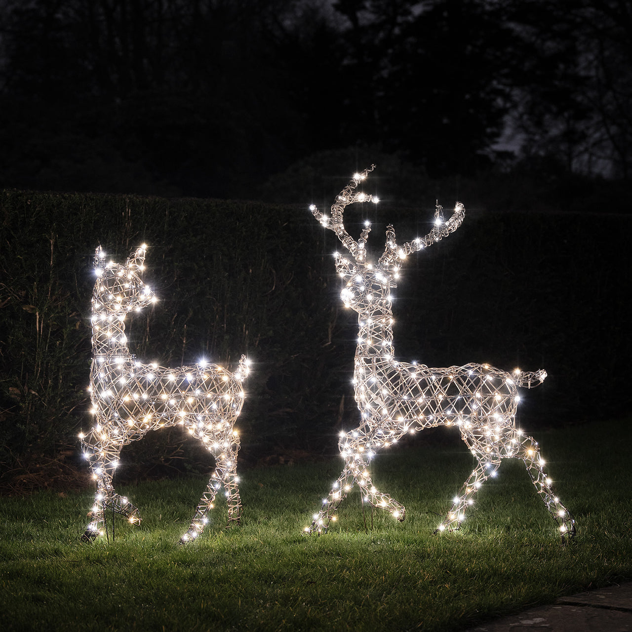 Duo Cerf et Biche Lumineux Studley à LED Bicolore
