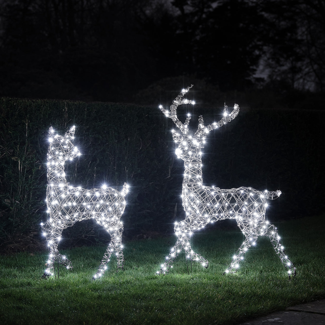 Duo Cerf et Biche Lumineux Studley à LED Bicolore
