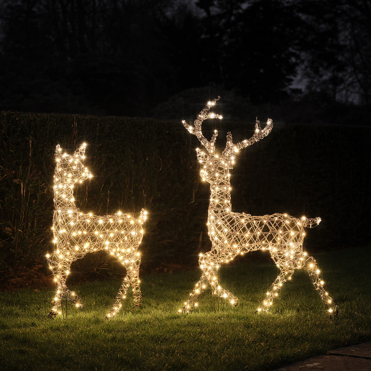 Duo Cerf et Biche Lumineux Studley à LED Bicolore