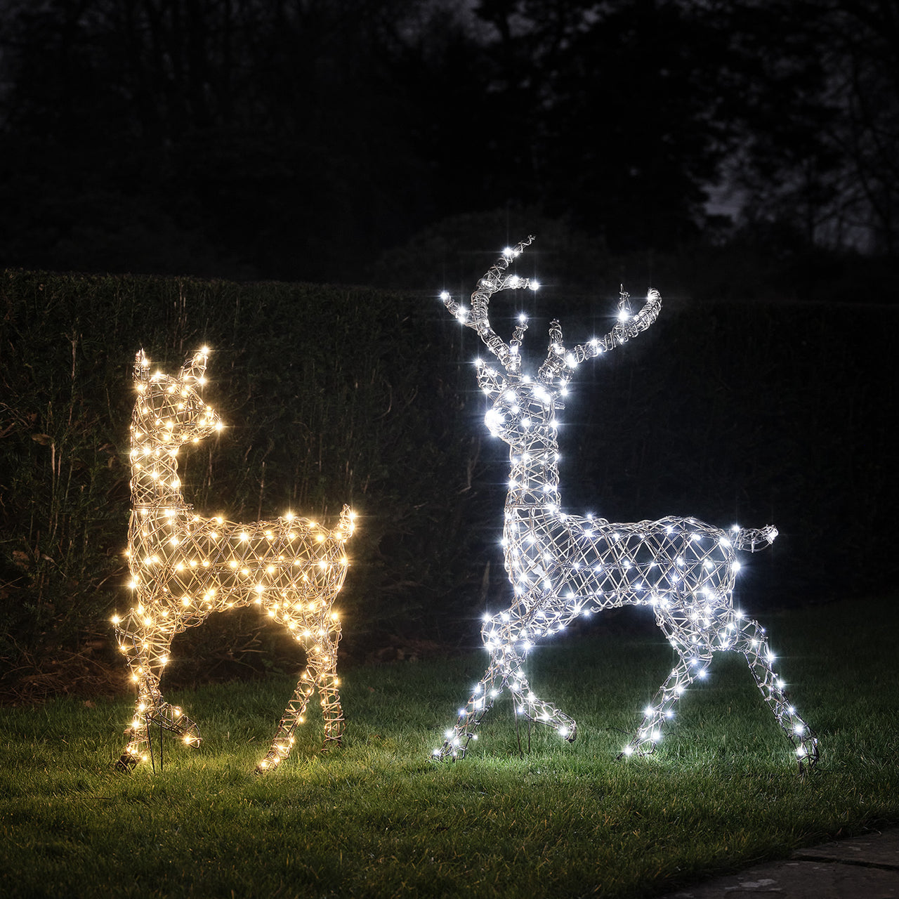 Duo Cerf et Biche Lumineux Studley à LED Bicolore