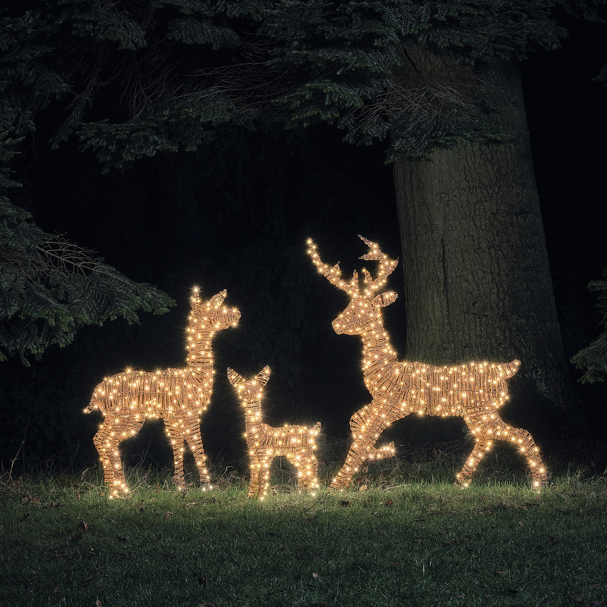 Famille de Rennes Lumineux Pateley en Rotin à LED Bicolores