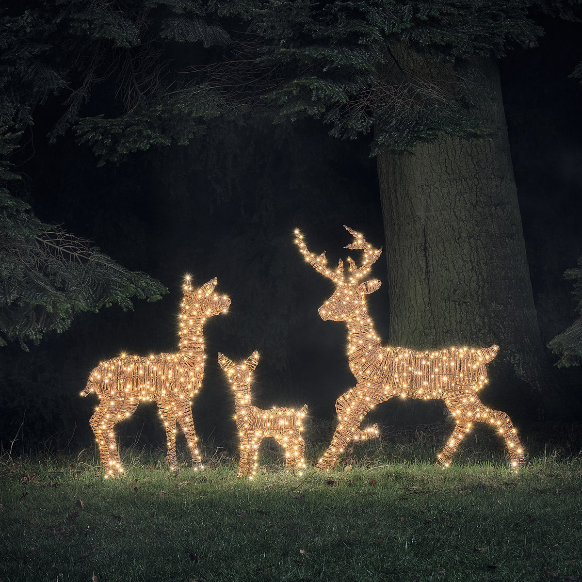 Famille de Rennes Lumineux Pateley en Rotin à LED Bicolores