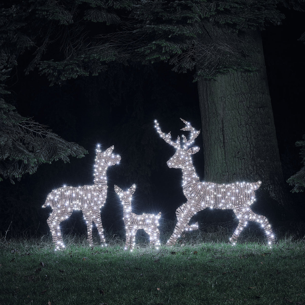 Famille de Rennes Lumineux Pateley en Rotin à LED Bicolores