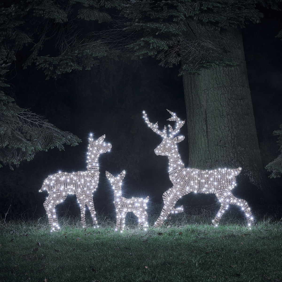 Famille de Rennes Lumineux Pateley en Rotin à LED Bicolores