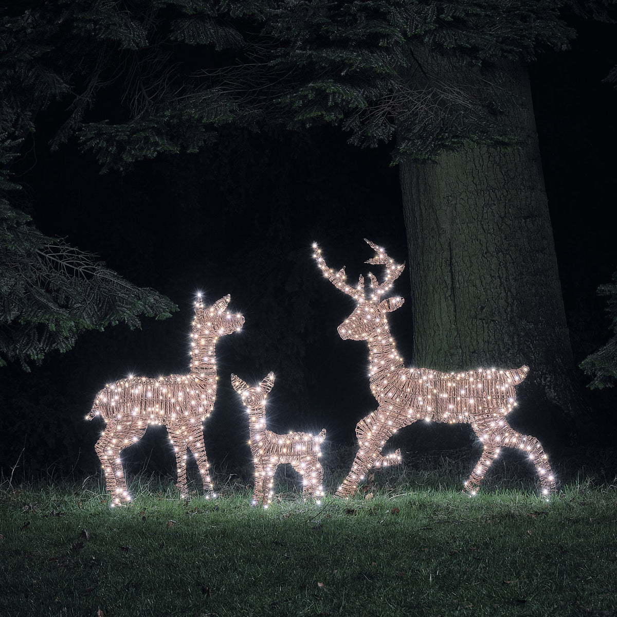 Famille de Rennes Lumineux Pateley en Rotin à LED Bicolores