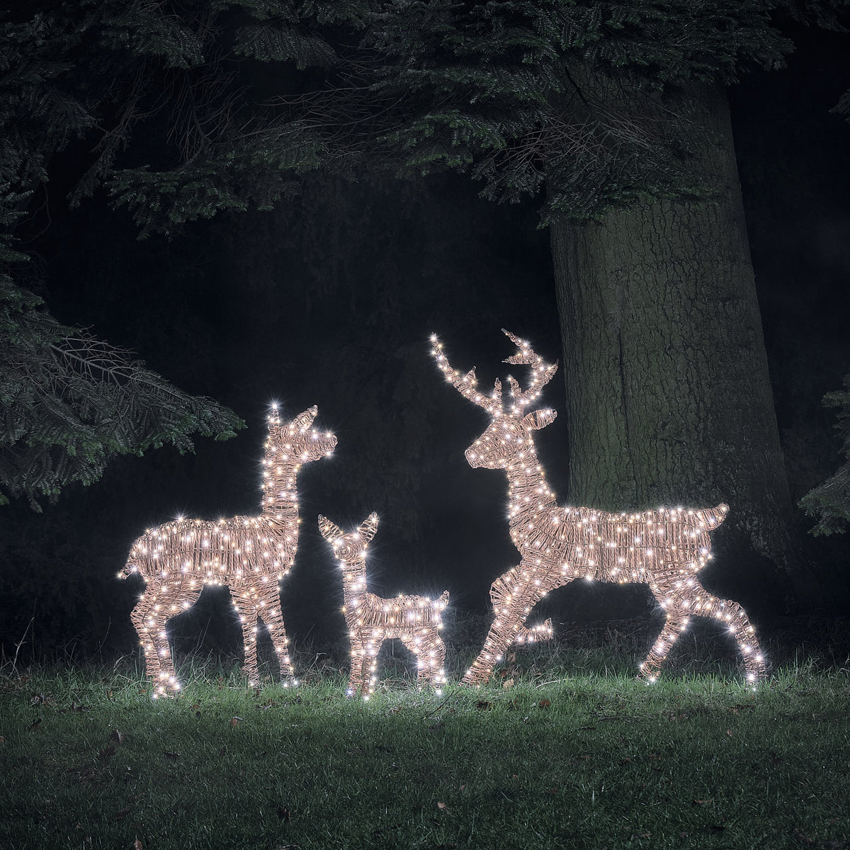 Famille de Rennes Lumineux Pateley en Rotin à LED Bicolores
