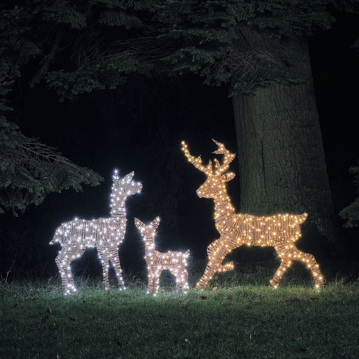 Famille de Rennes Lumineux Pateley en Rotin à LED Bicolores