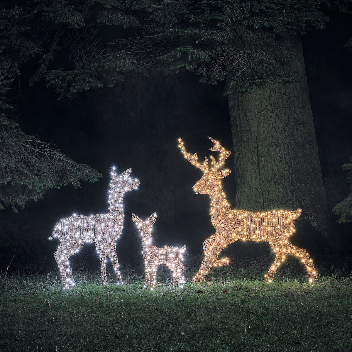 Famille de Rennes Lumineux Pateley en Rotin à LED Bicolores