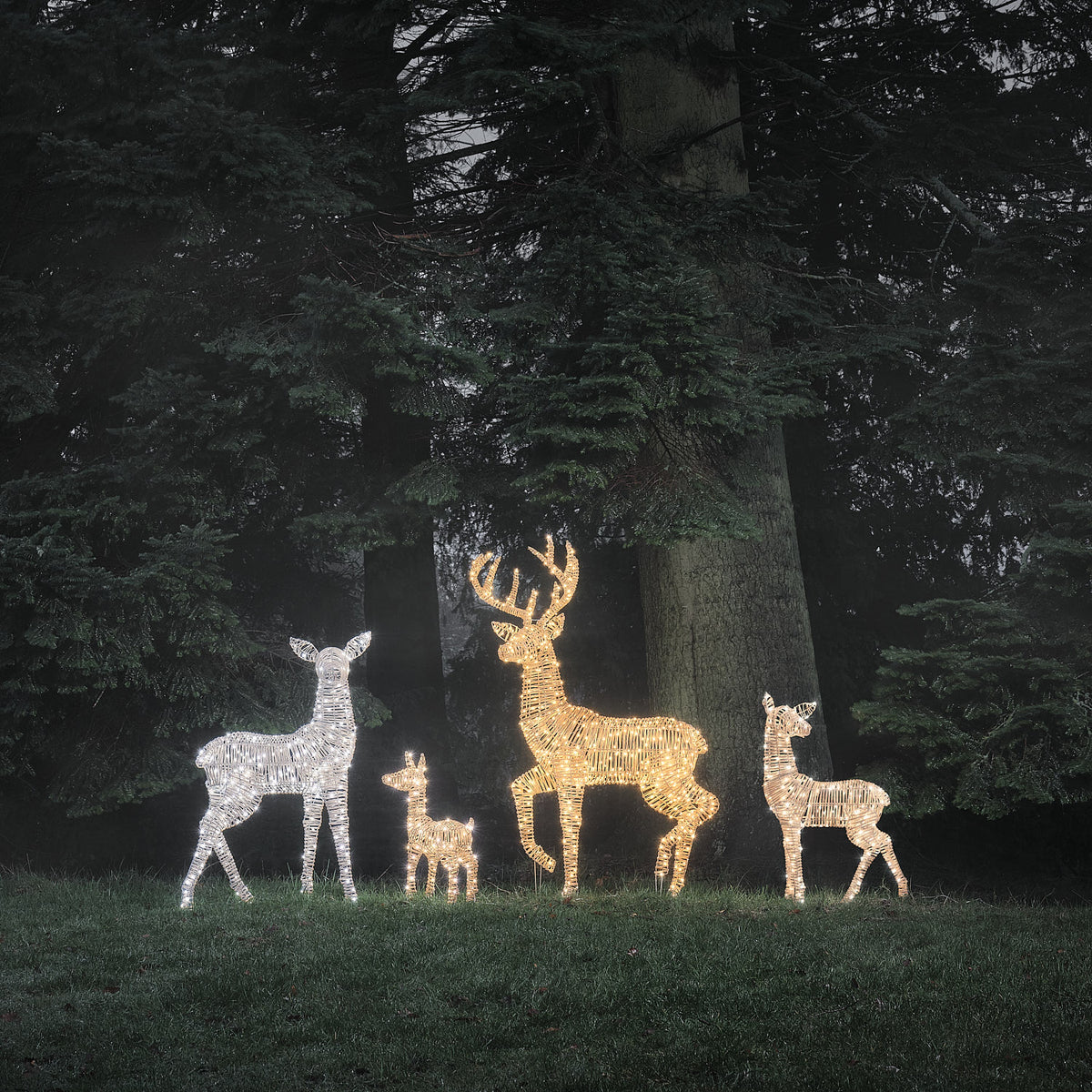 Famille de 4 Rennes Lumineux Leyburn en Rotin Marron Clair à LED Bicolores
