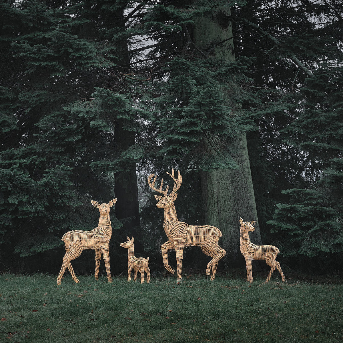 Famille de 4 Rennes Lumineux Leyburn en Rotin Marron Clair à LED Bicolores