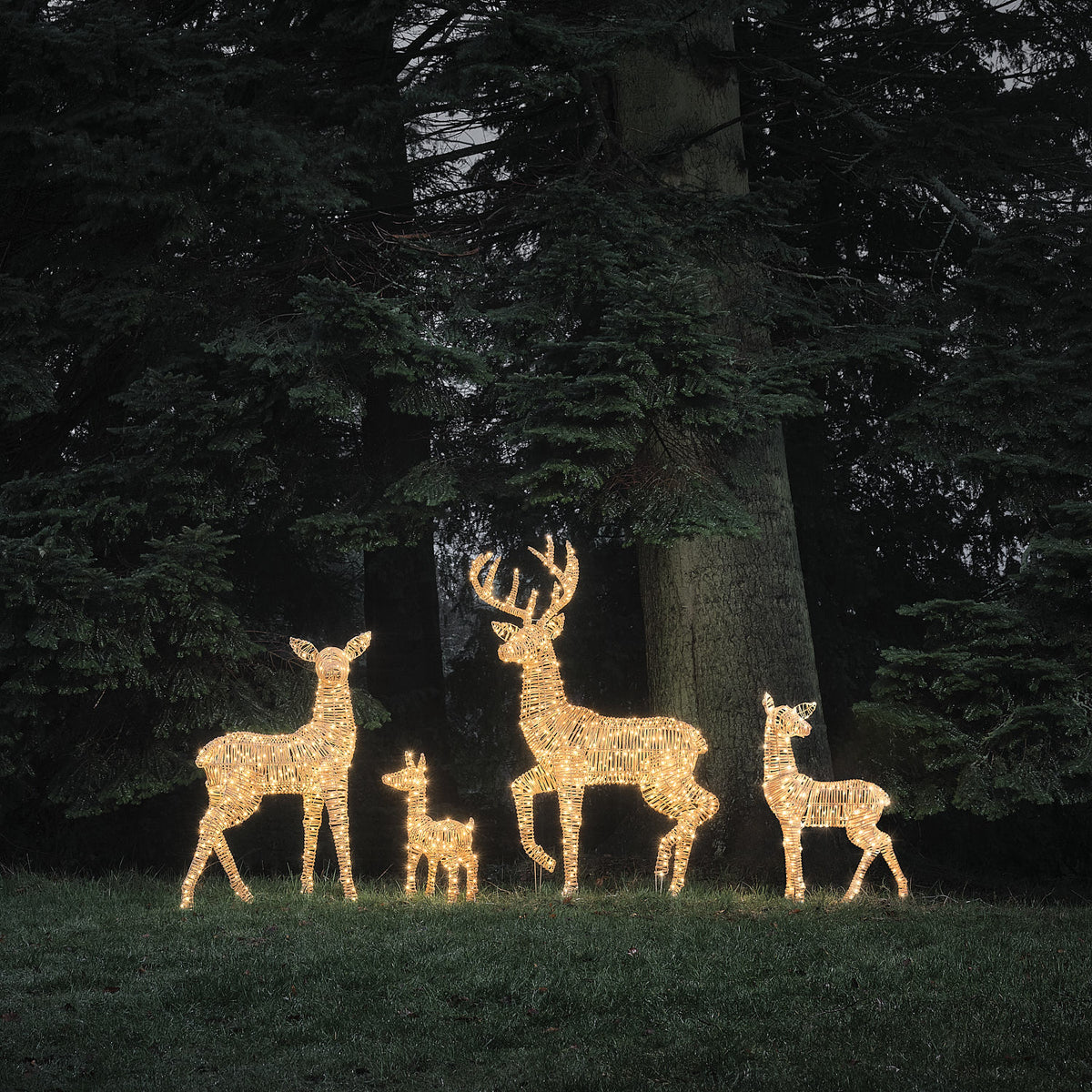 Famille de 4 Rennes Lumineux Leyburn en Rotin Marron Clair à LED Bicolores