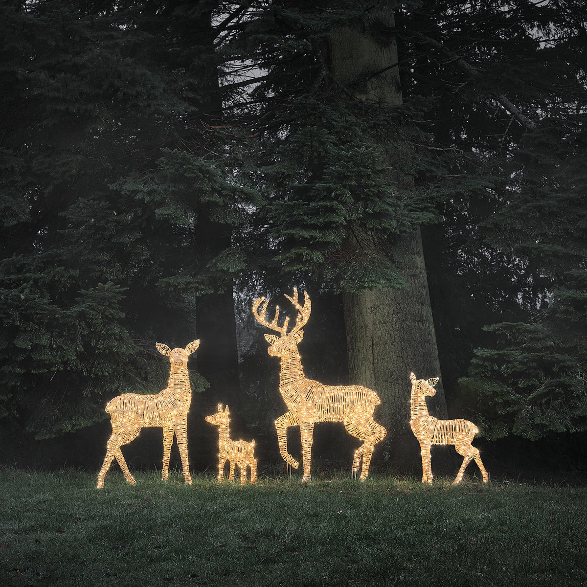 Famille de 4 Rennes Lumineux Leyburn en Rotin Marron Clair à LED Bicolores