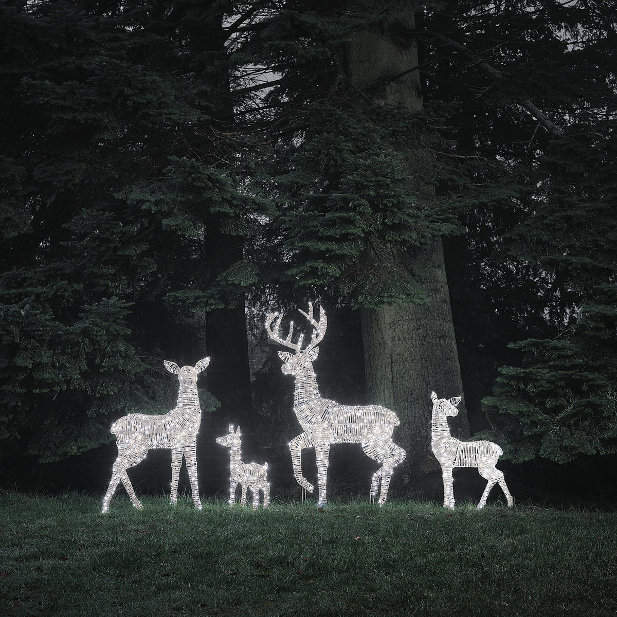 Famille de 4 Rennes Lumineux Leyburn en Rotin Marron Clair à LED Bicolores