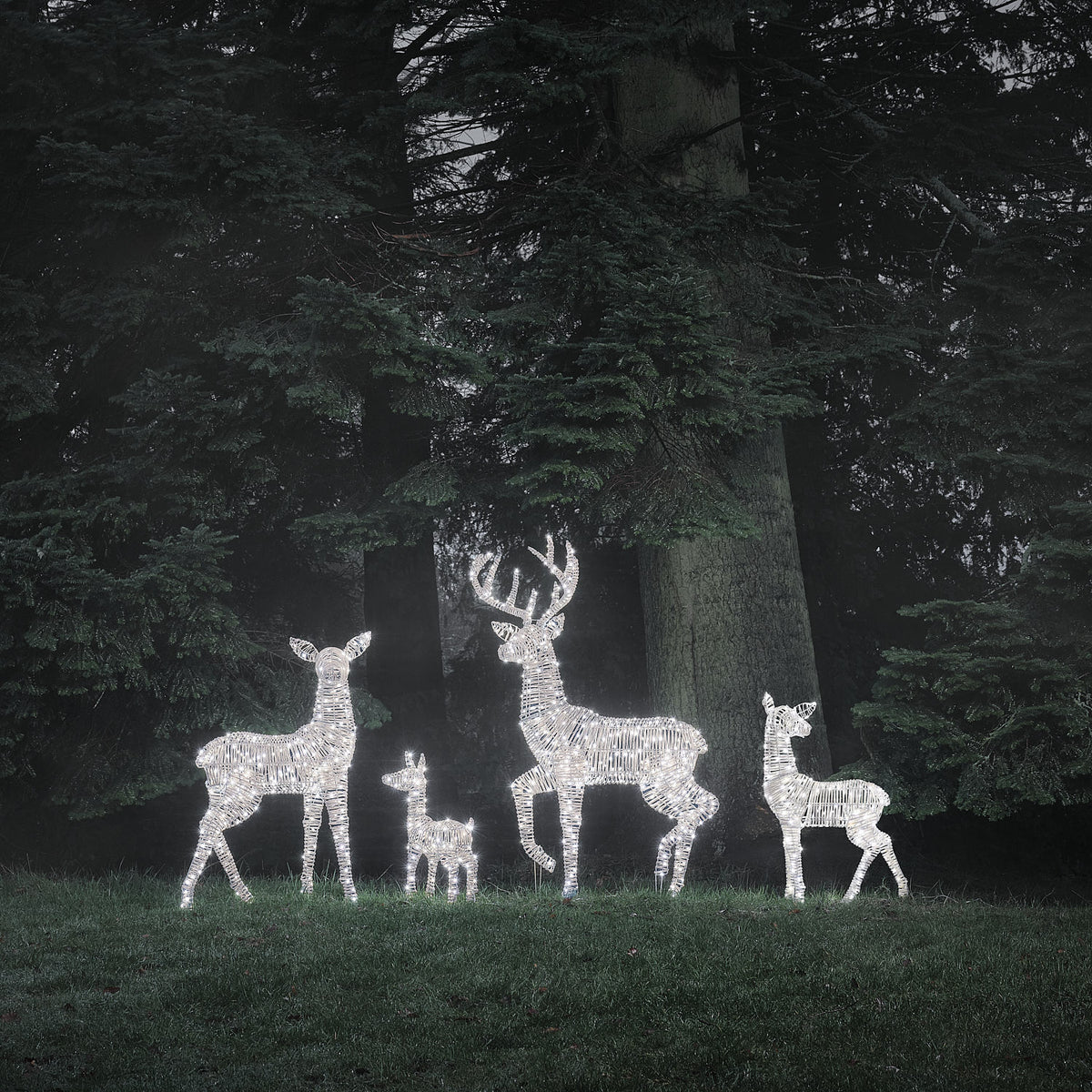 Famille de 4 Rennes Lumineux Leyburn en Rotin Marron Clair à LED Bicolores
