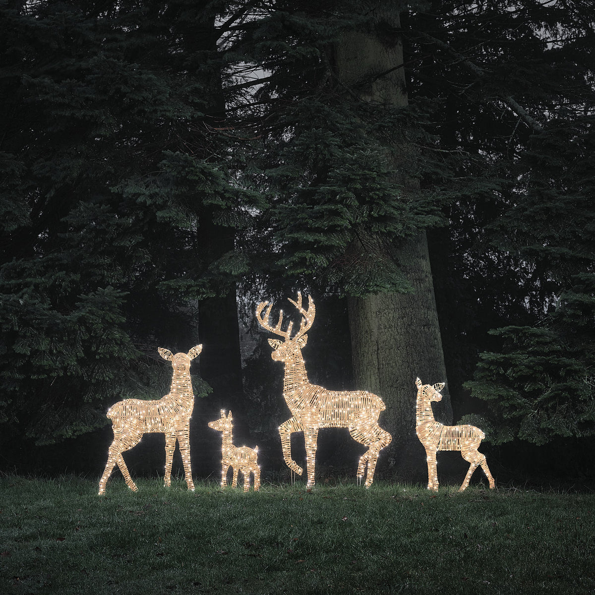 Famille de 4 Rennes Lumineux Leyburn en Rotin Marron Clair à LED Bicolores