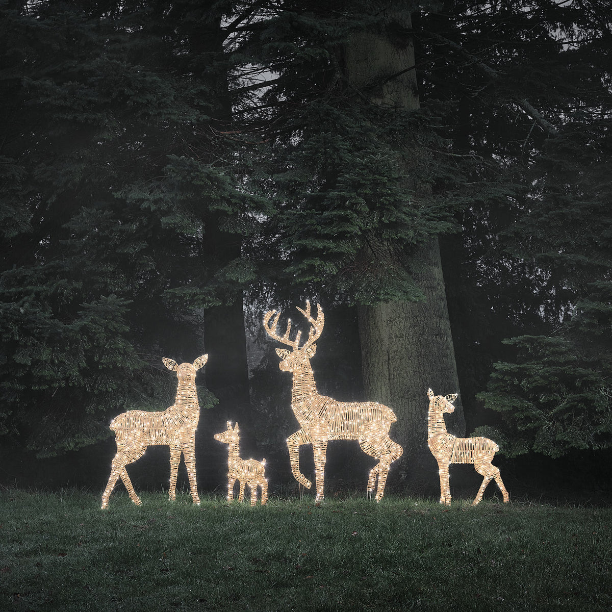 Famille de 4 Rennes Lumineux Leyburn en Rotin Marron Clair à LED Bicolores