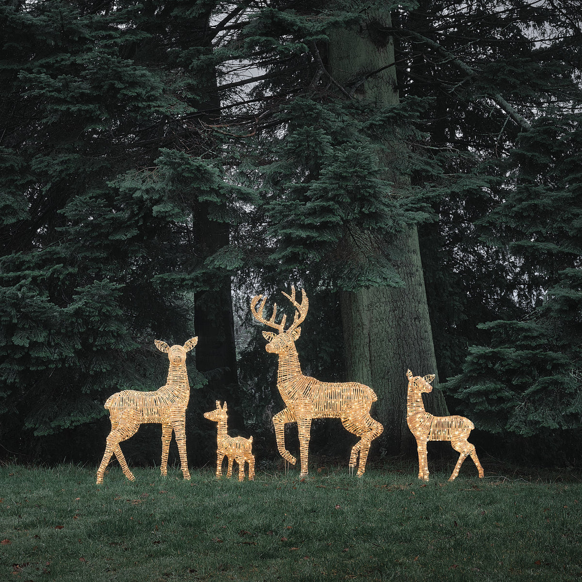 Famille de 4 Rennes Lumineux Leyburn en Rotin Marron Clair à LED Bicolores