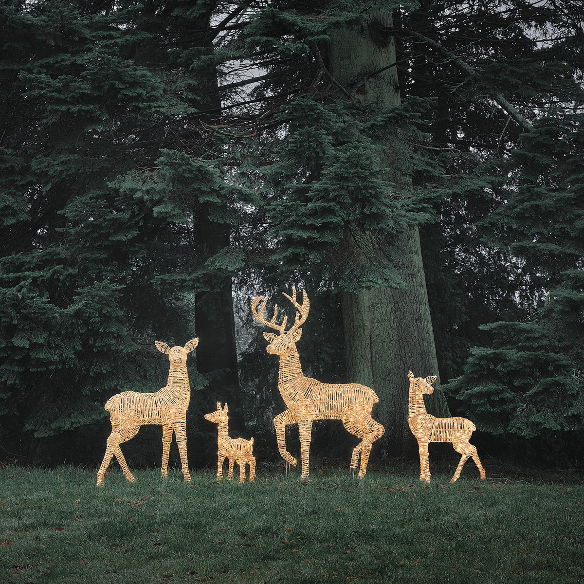 Famille de 4 Rennes Lumineux Leyburn en Rotin Marron Clair à LED Bicolores