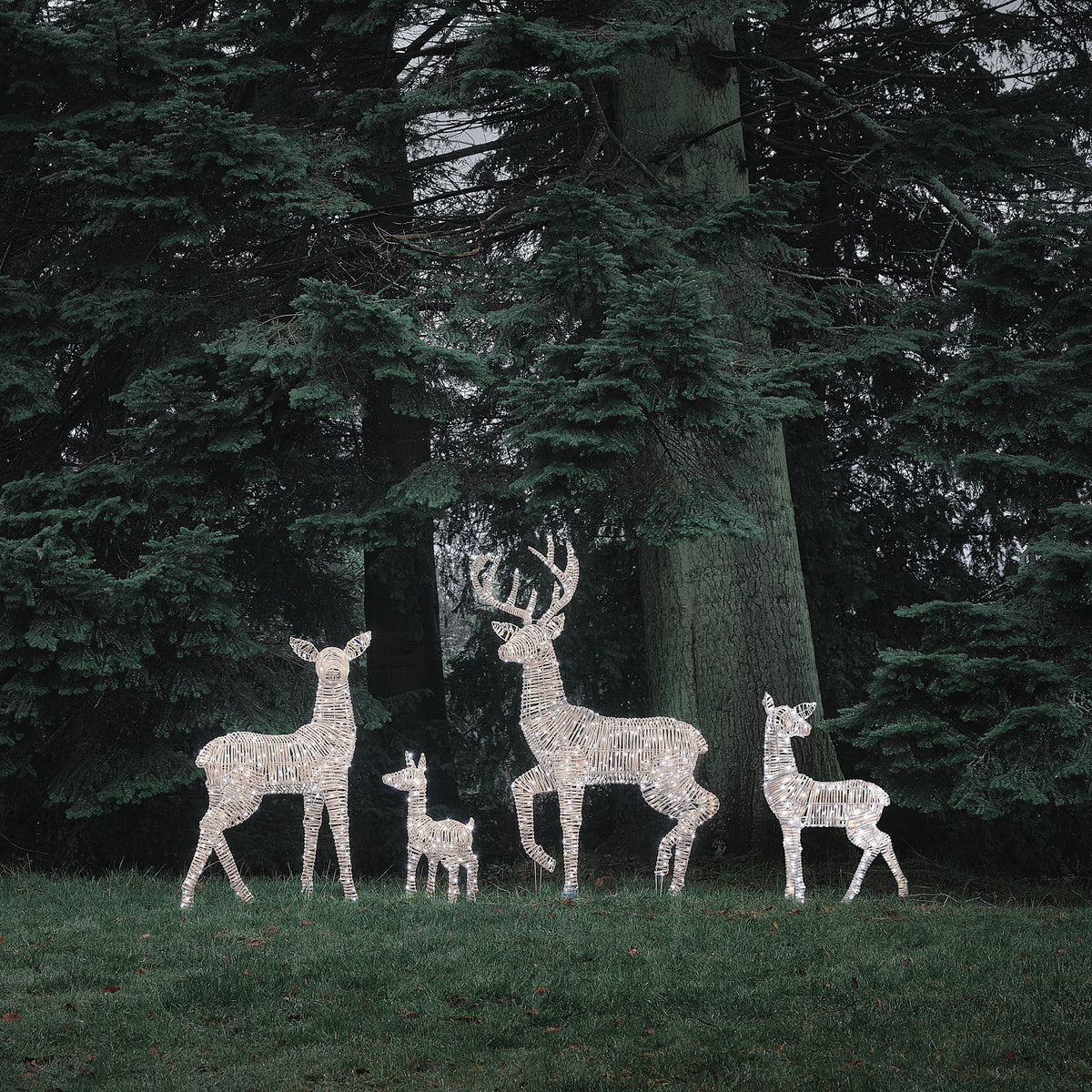 Famille de 4 Rennes Lumineux Leyburn en Rotin Marron Clair à LED Bicolores