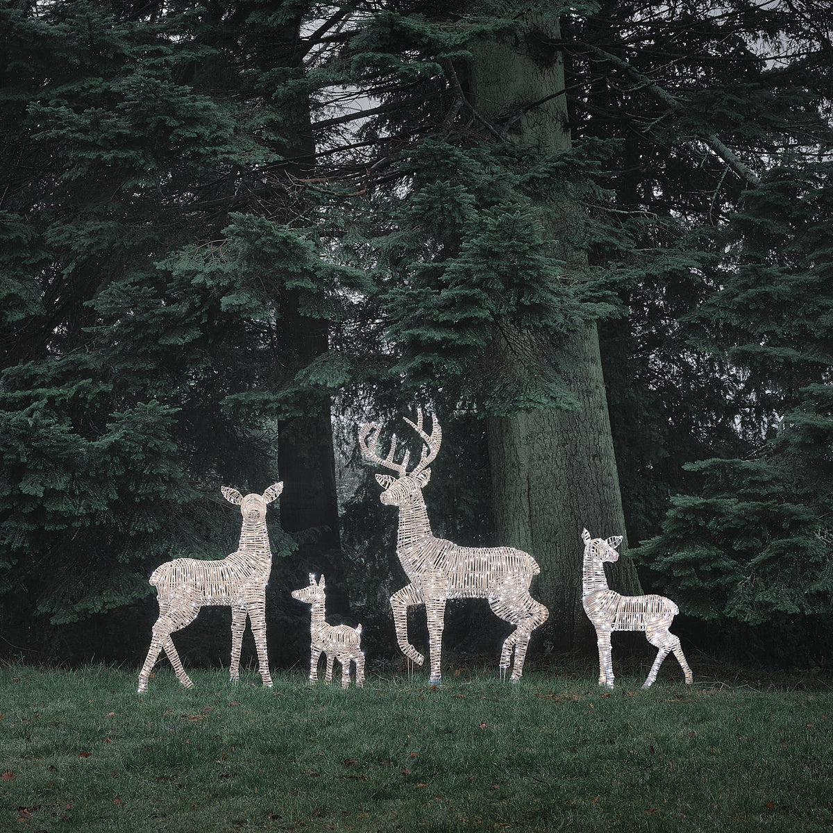 Famille de 4 Rennes Lumineux Leyburn en Rotin Marron Clair à LED Bicolores