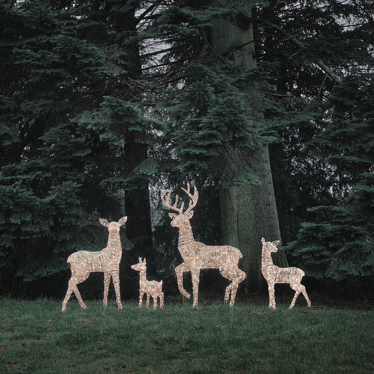 Famille de 4 Rennes Lumineux Leyburn en Rotin Marron Clair à LED Bicolores