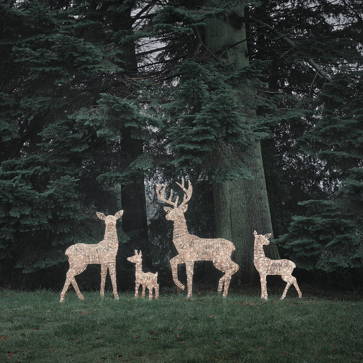Famille de 4 Rennes Lumineux Leyburn en Rotin Marron Clair à LED Bicolores