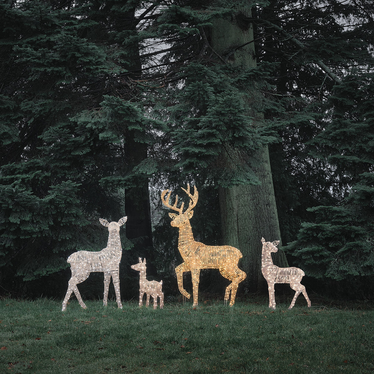 Famille de 4 Rennes Lumineux Leyburn en Rotin Marron Clair à LED Bicolores