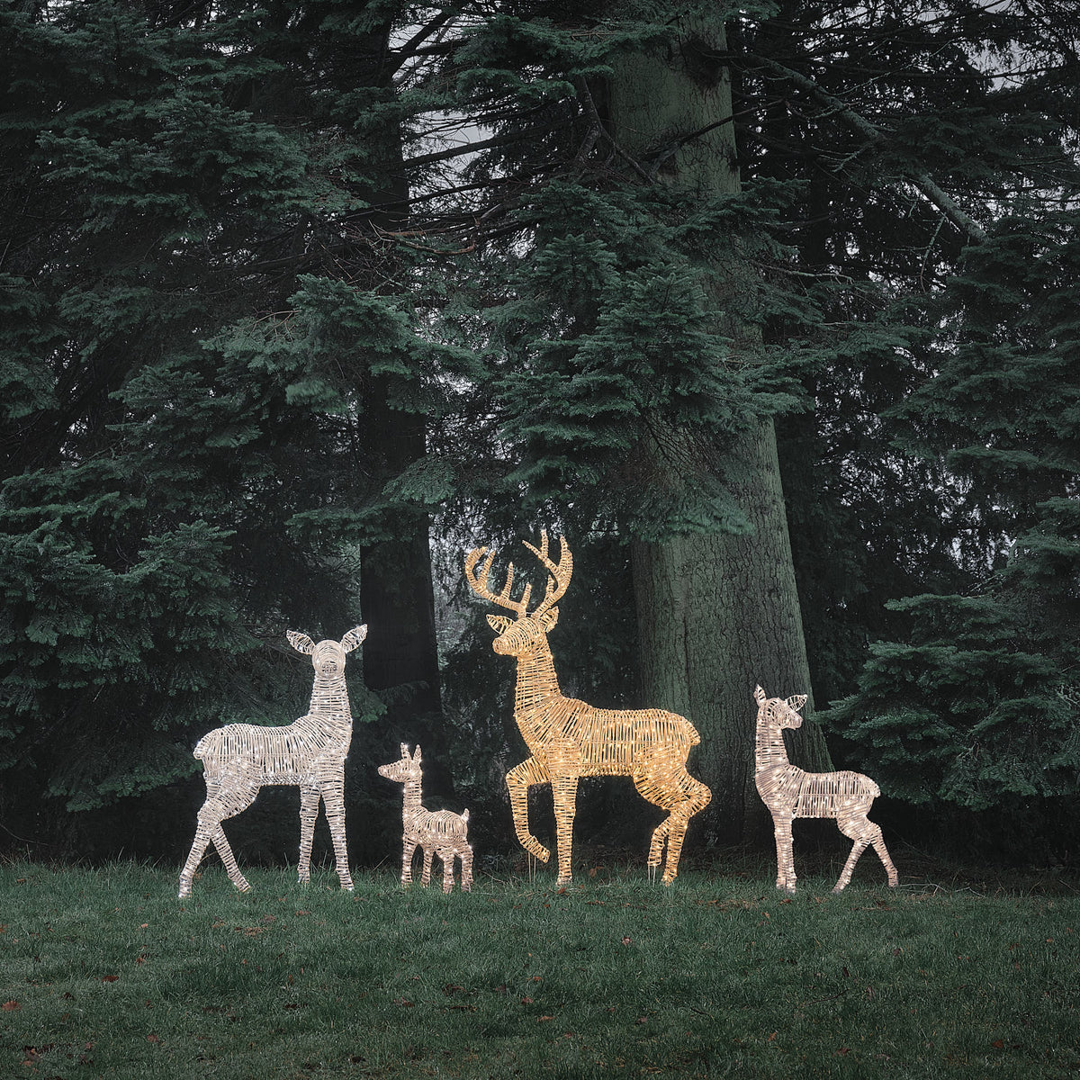 Famille de 4 Rennes Lumineux Leyburn en Rotin Marron Clair à LED Bicolores